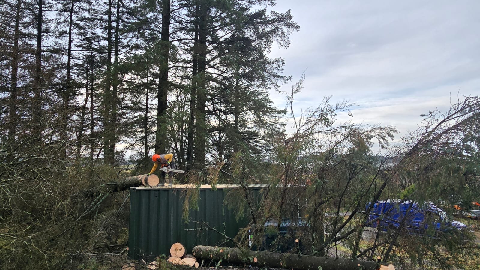 Example of our work 3